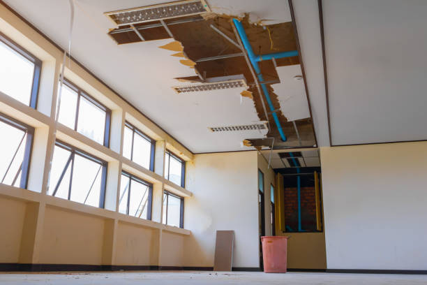 Best Basement water damage restoration  in Duenweg, MO