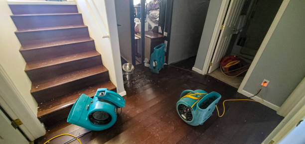 Best Commercial water damage restoration  in Duenweg, MO