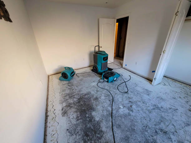 Water damage restoration mold remediation in MO