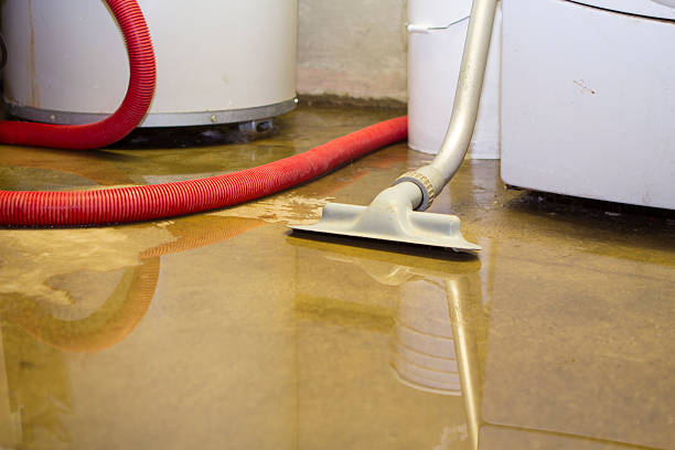 Best Mold removal after water damage  in Duenweg, MO