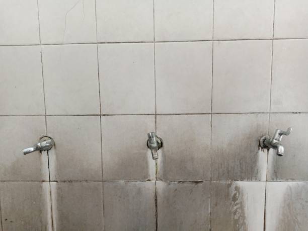 Best Flood damage cleanup  in Duenweg, MO