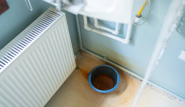 Best Water damage restoration near me  in Duenweg, MO