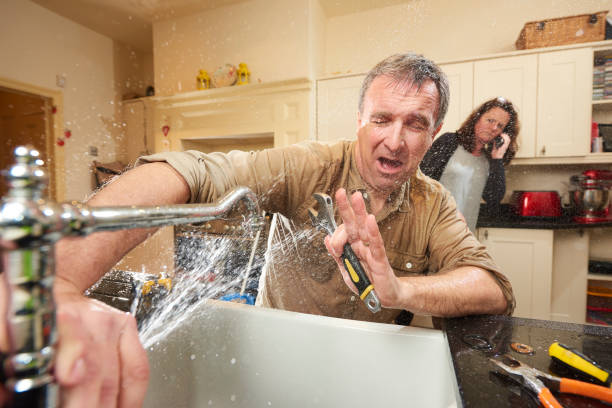 Best Water damage cleanup near me  in Duenweg, MO